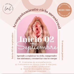 Ciclo Menstrual